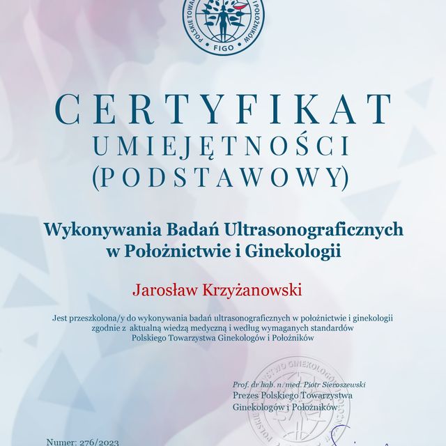 Powiększ obraz: certificate 2