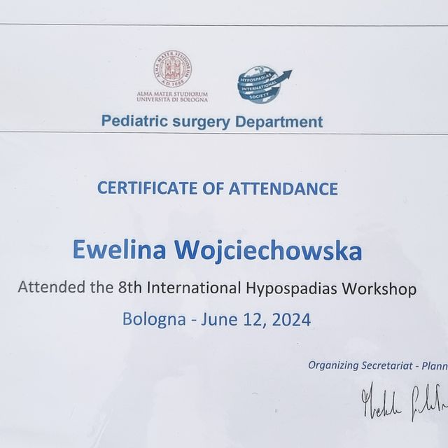 Powiększ obraz: certificate 3