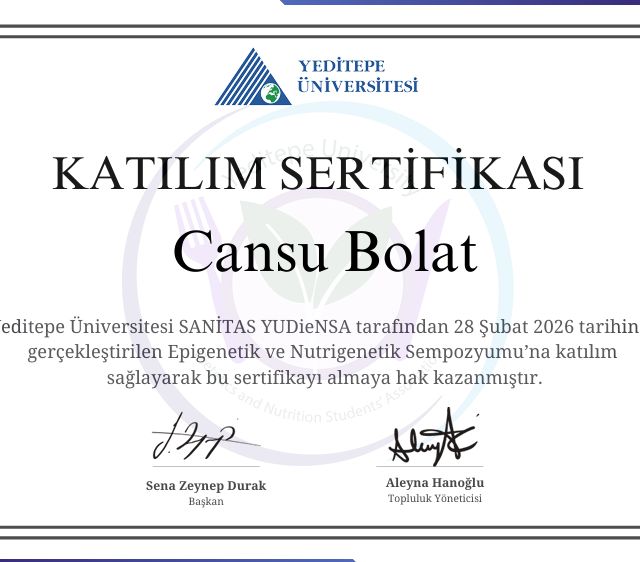 Resmi büyüt: certificate 3