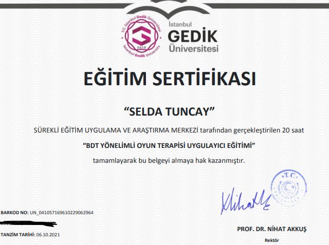 Resmi büyüt: certificate 10