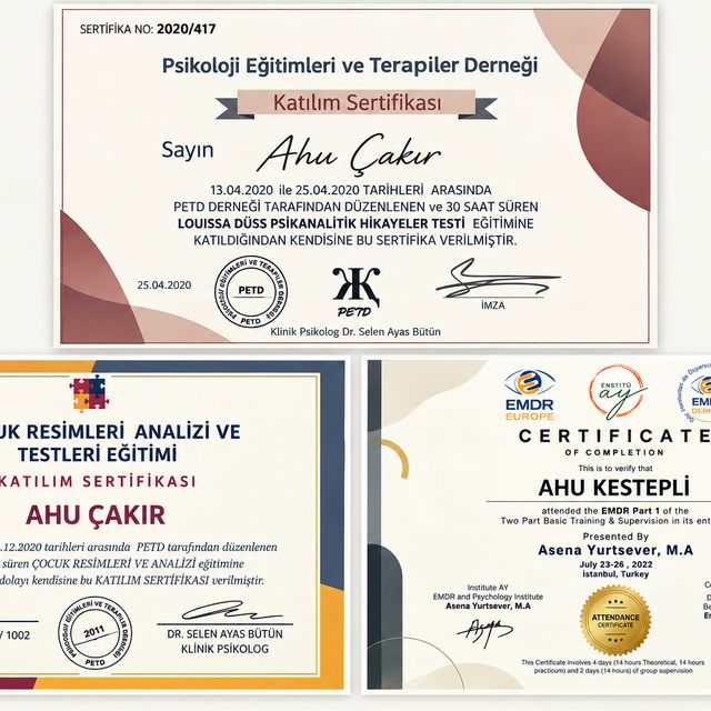 Resmi büyüt: certificate 1