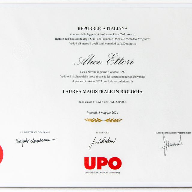 Ingrandire l'immagine: certificate 1