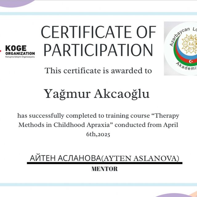 Resmi büyüt: certificate 8