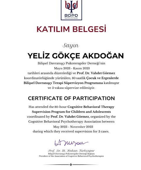 Resmi büyüt: certificate 4