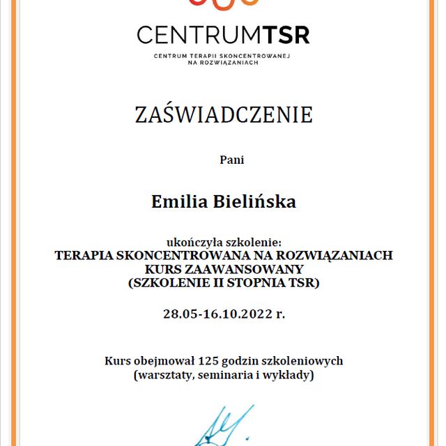 Powiększ obraz: certificate 3