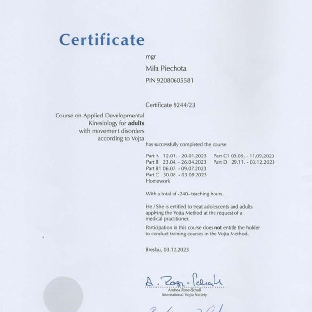 Powiększ obraz: certificate 3
