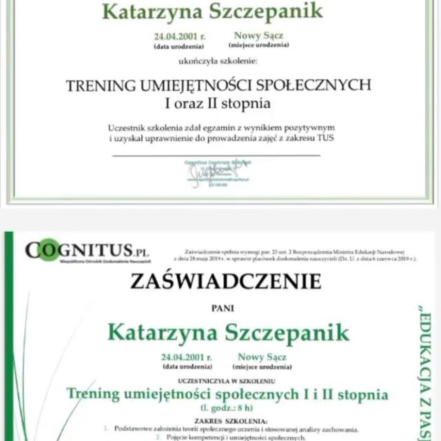 Powiększ obraz: certificate 5