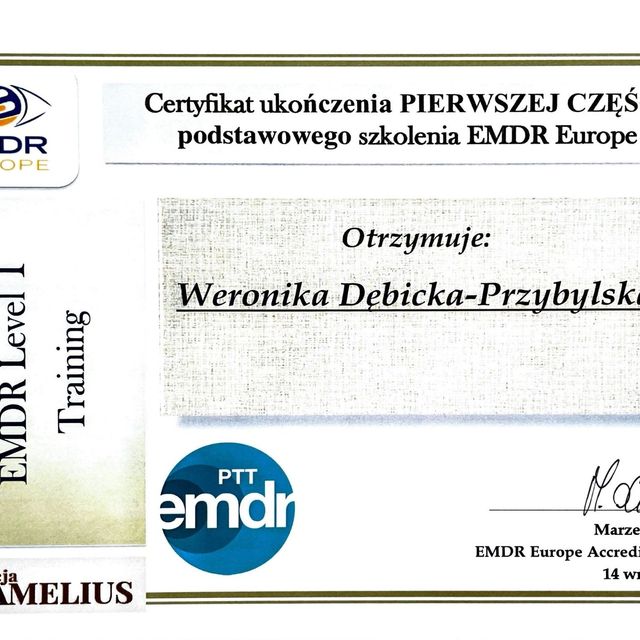 Powiększ obraz: certificate 1