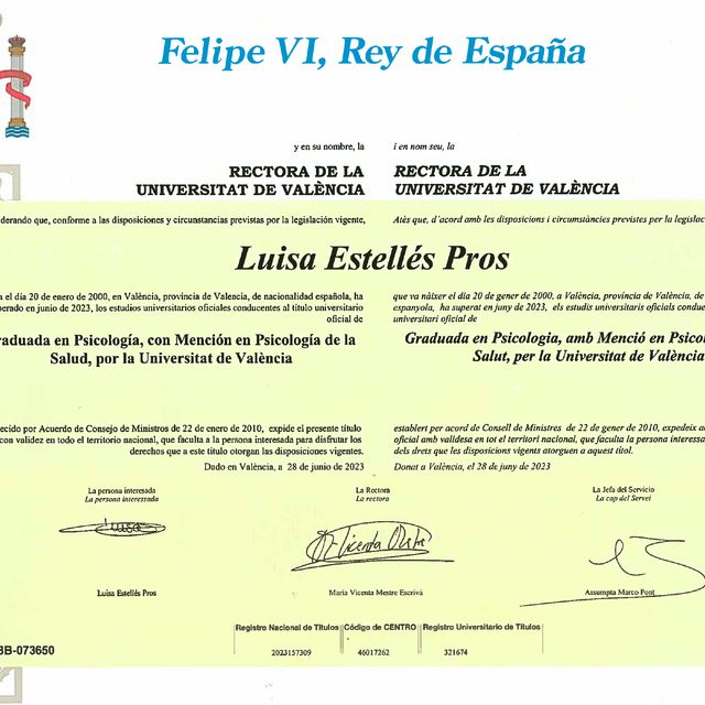Acercar imagen: certificate 1