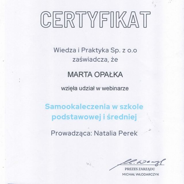 Powiększ obraz: certificate 12