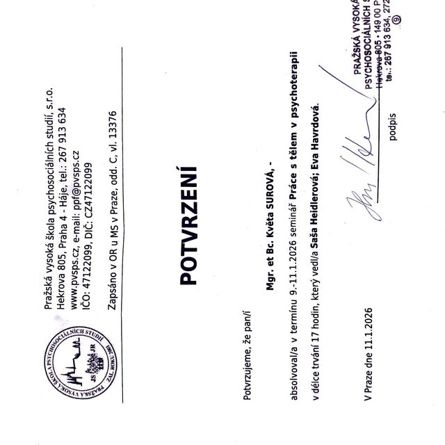 Zvětšit obrázek: certificate 6