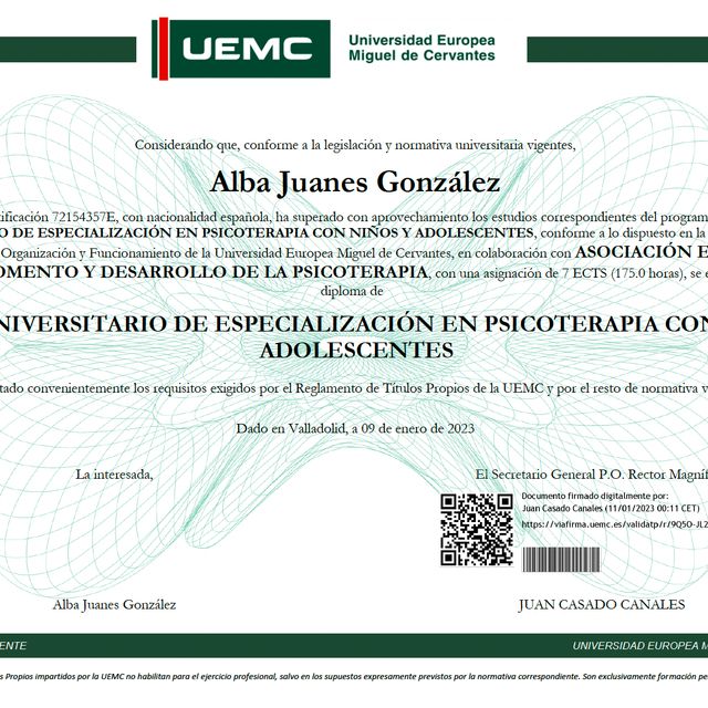 Acercar imagen: certificate 9