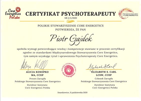 Powiększ obraz: certificate 1