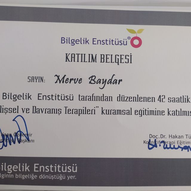 Resmi büyüt: certificate 1