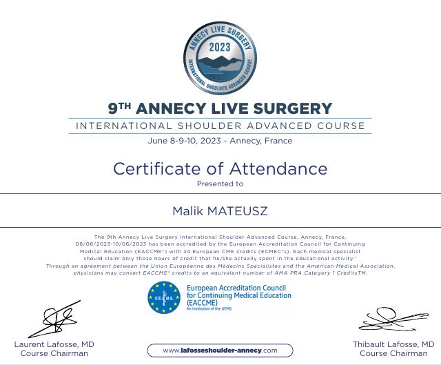 Powiększ obraz: certificate 2