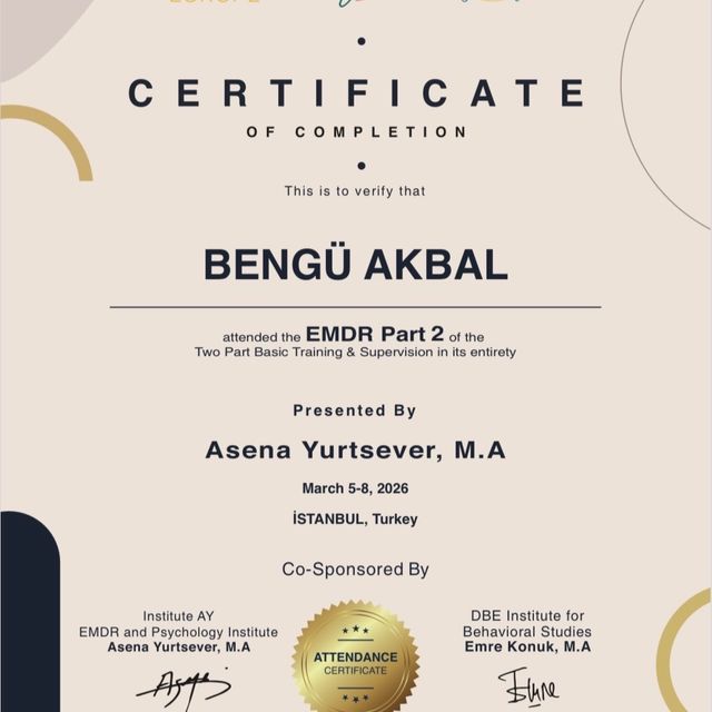 Resmi büyüt: certificate 2