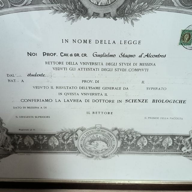 Ingrandire l'immagine: certificate 3