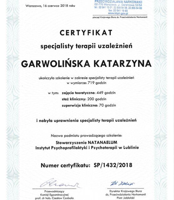 Powiększ obraz: certificate 2