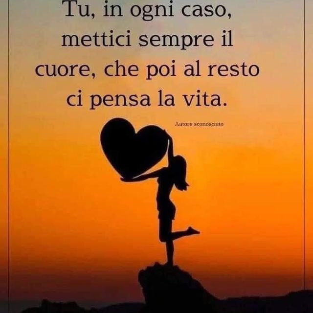 Ingrandire l'immagine: certificate 241