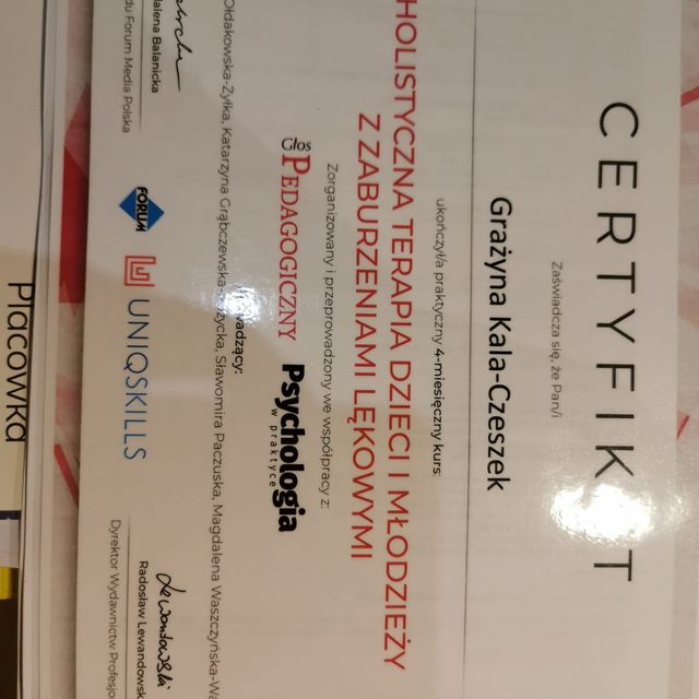 Powiększ obraz: certificate 4