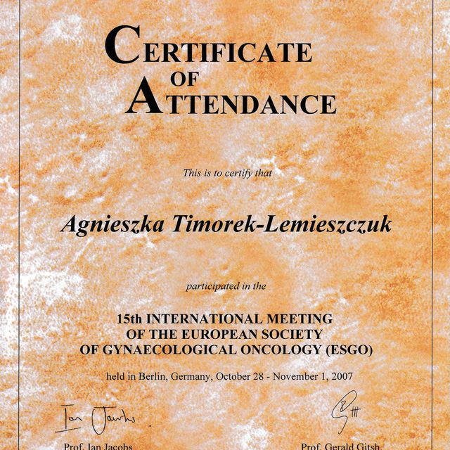 Powiększ obraz: certificate 13