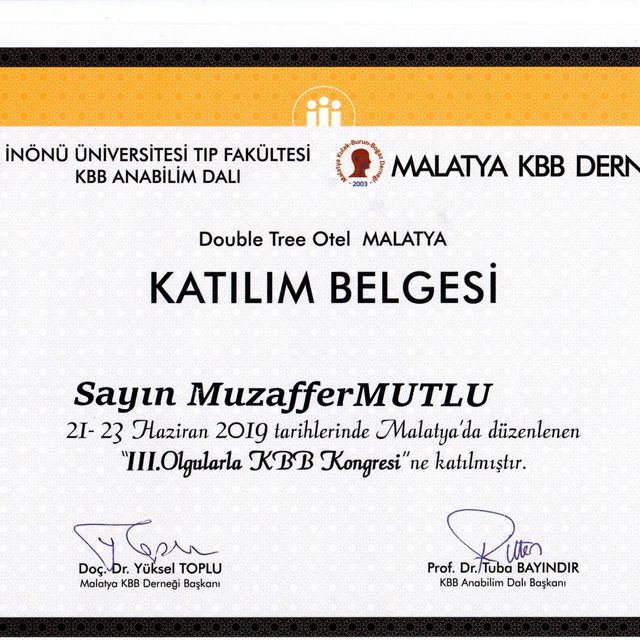 Resmi büyüt: certificate 15