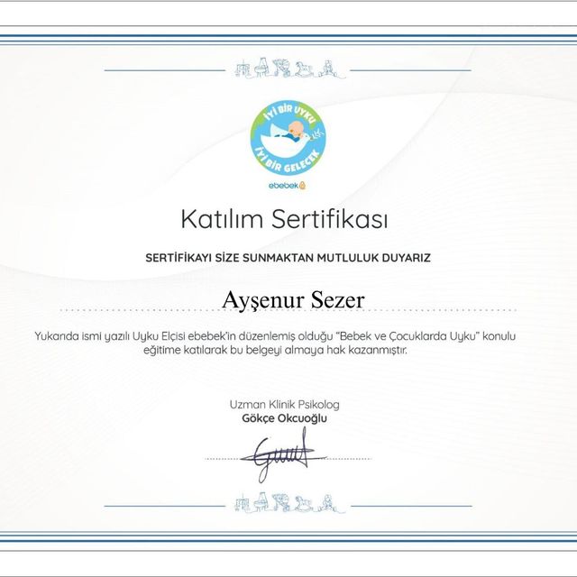 Resmi büyüt: certificate 4