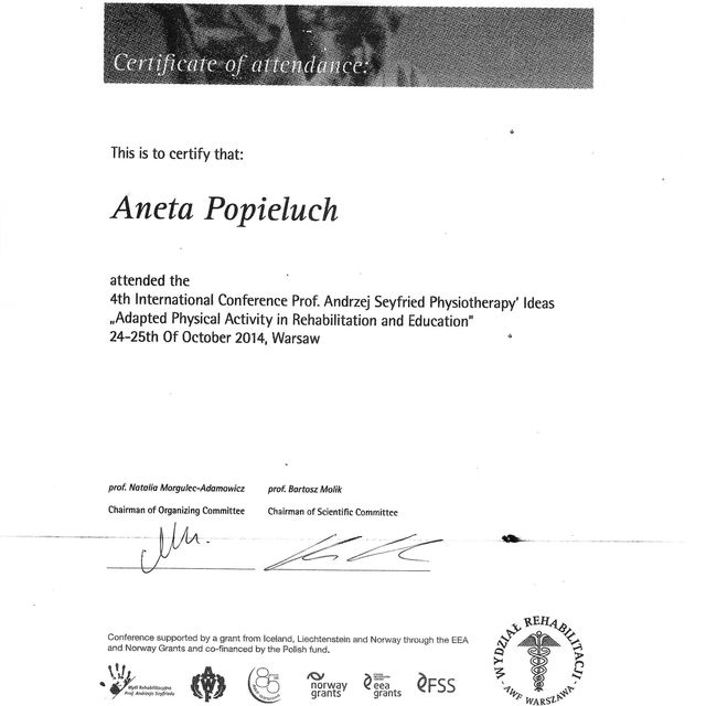 Powiększ obraz: certificate 6