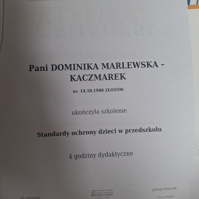 Powiększ obraz: certificate 4