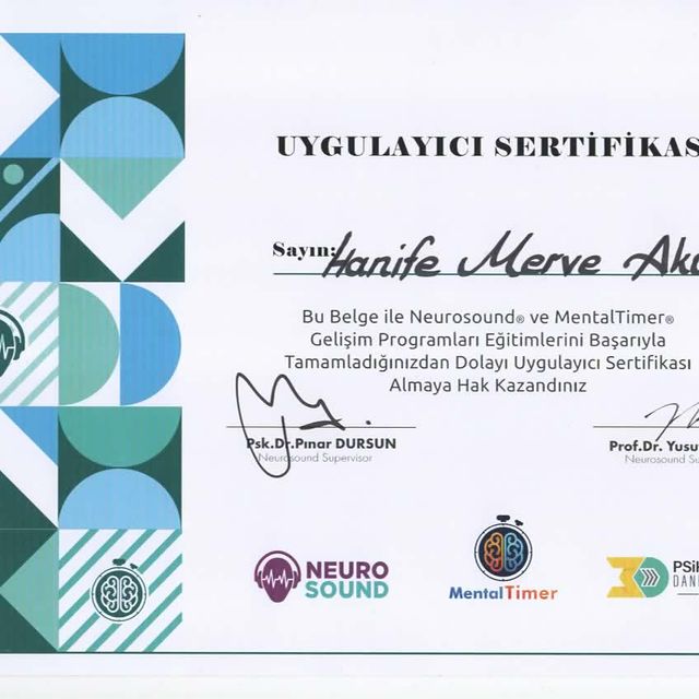 Resmi büyüt: certificate 11