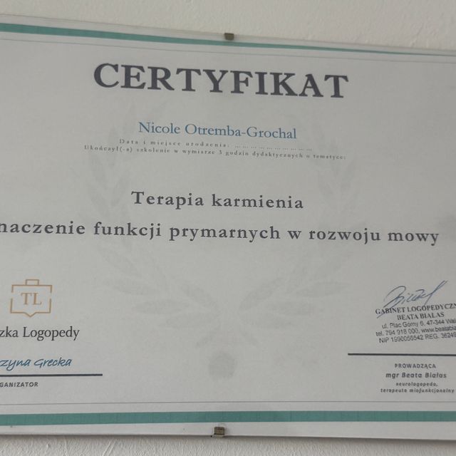 Powiększ obraz: certificate 7