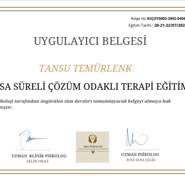 Resmi büyüt: certificate 3