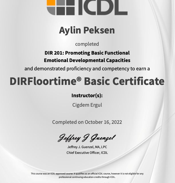 Resmi büyüt: certificate 8