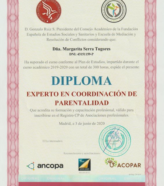 Acercar imagen: certificate 6