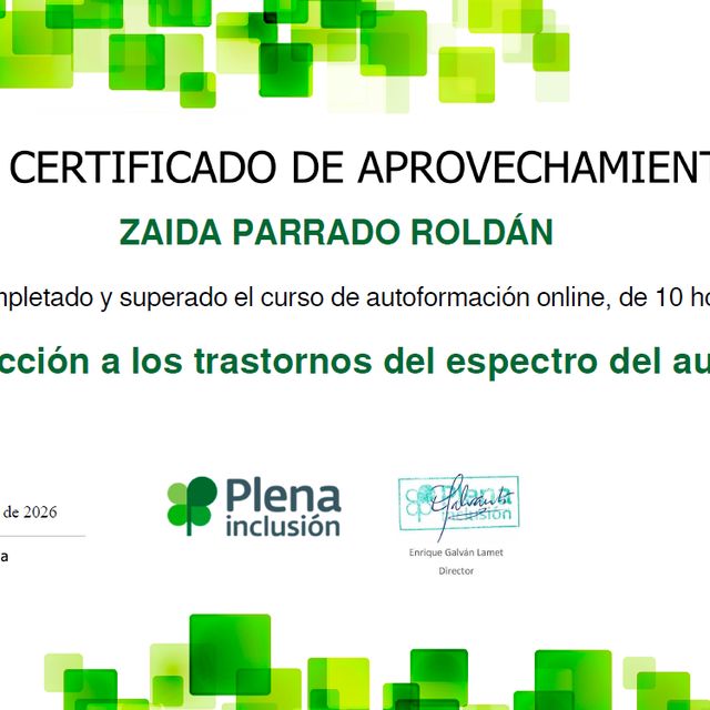 Acercar imagen: certificate 9