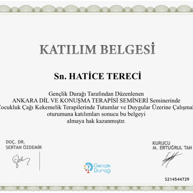 Resmi büyüt: certificate 24