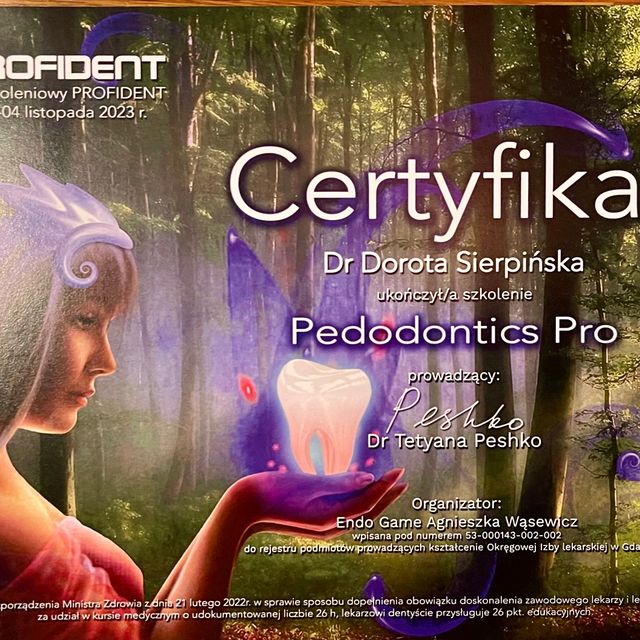 Powiększ obraz: certificate 6
