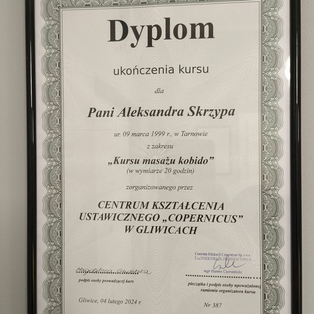Powiększ obraz: certificate 1