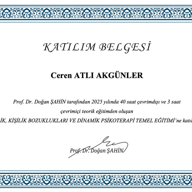 Resmi büyüt: certificate 16