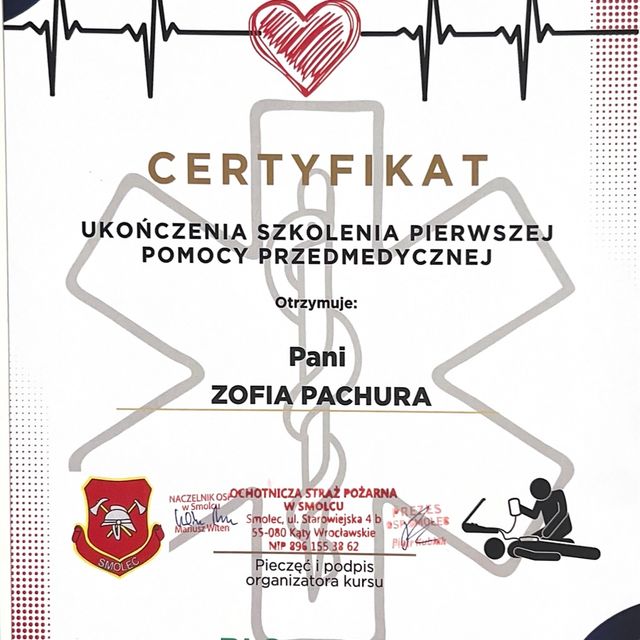 Powiększ obraz: certificate 4