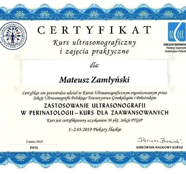 Powiększ obraz: certificate 11