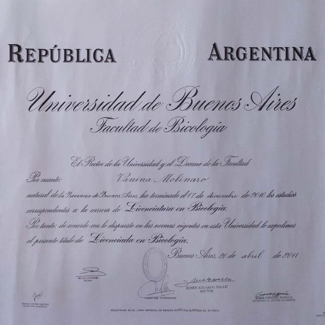 Acercar imagen: certificate 2