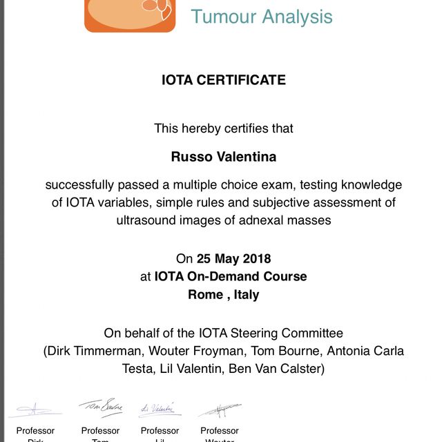 Ingrandire l'immagine: certificate 1