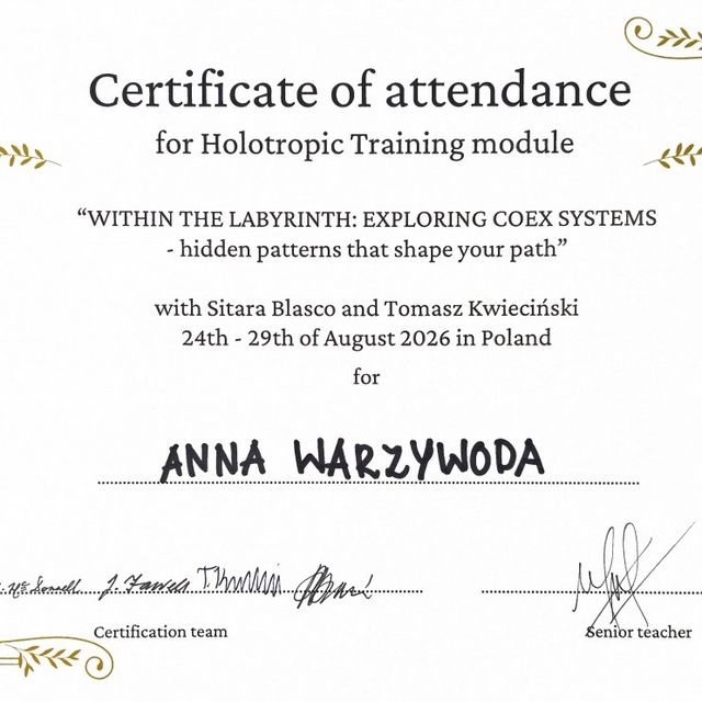 Powiększ obraz: certificate 16