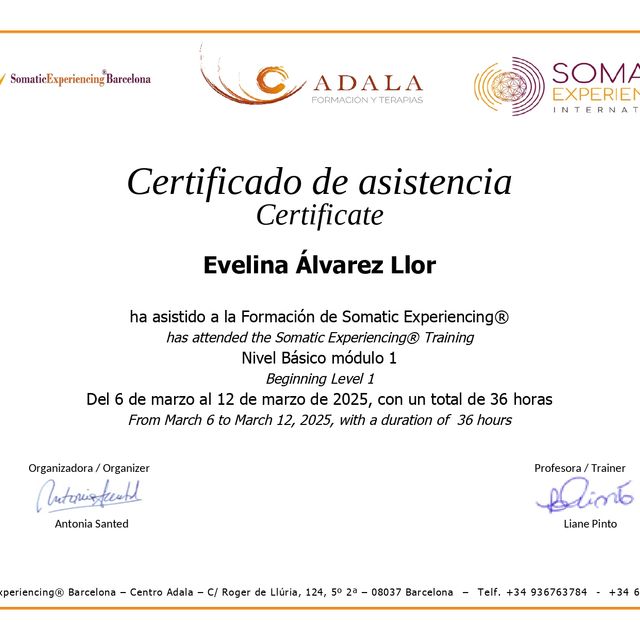 Acercar imagen: certificate 2
