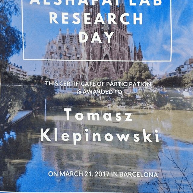 Powiększ obraz: certificate 4