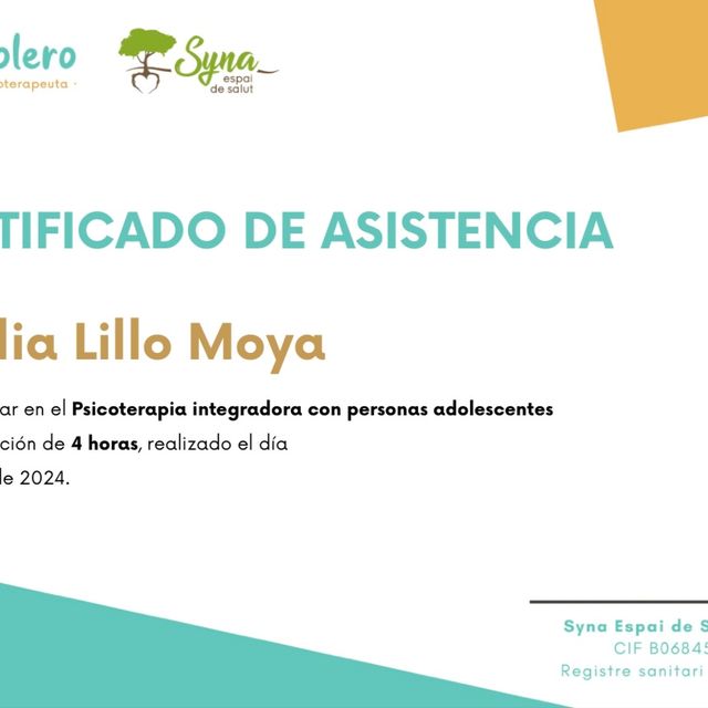 Acercar imagen: certificate 21