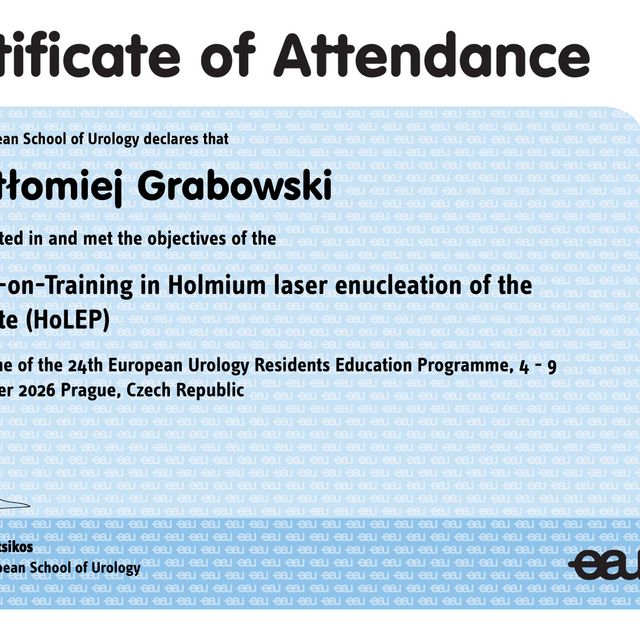 Powiększ obraz: certificate 6