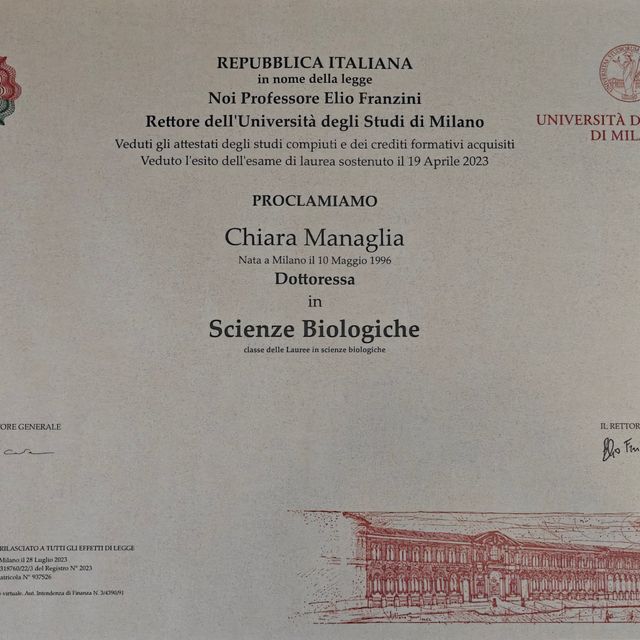 Ingrandire l'immagine: certificate 1