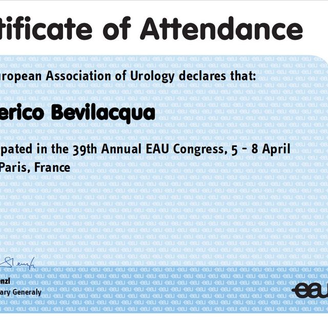 Ingrandire l'immagine: certificate 2